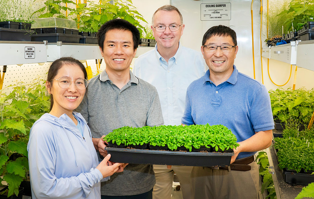 Lijun Qiao, Xianhai Zhao, John Shanklin, and Chang-Jun Liu