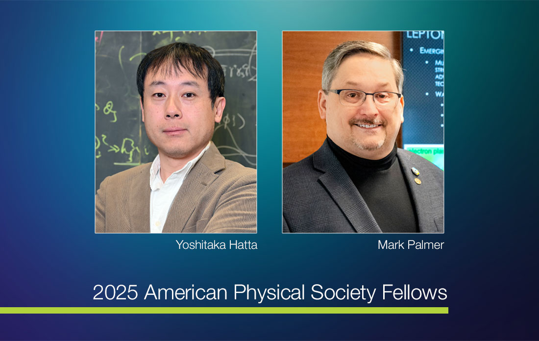 Yoshitaka Hatta and Mark Palmer