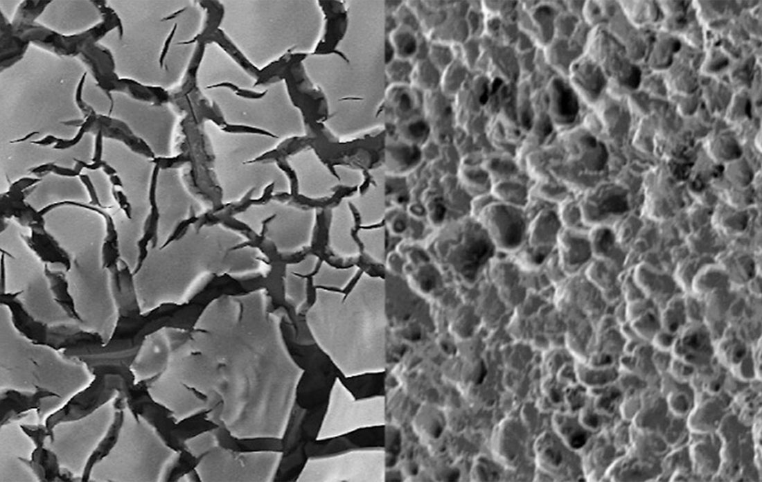 Scanning electron microscopy images