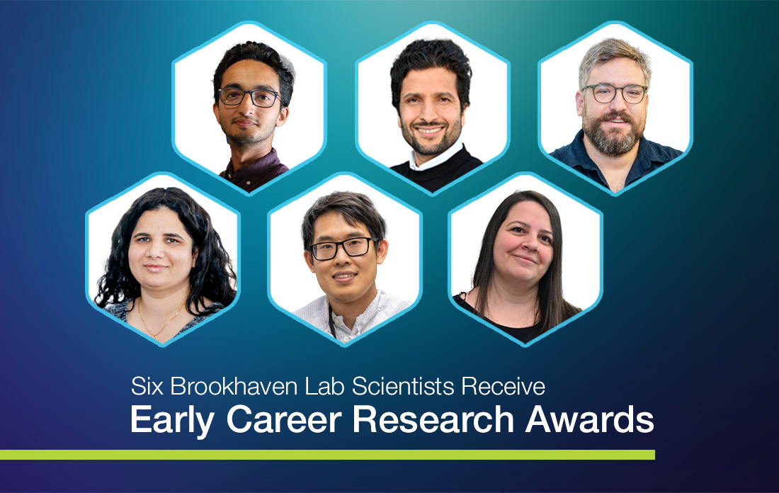 Early Career Research Awards