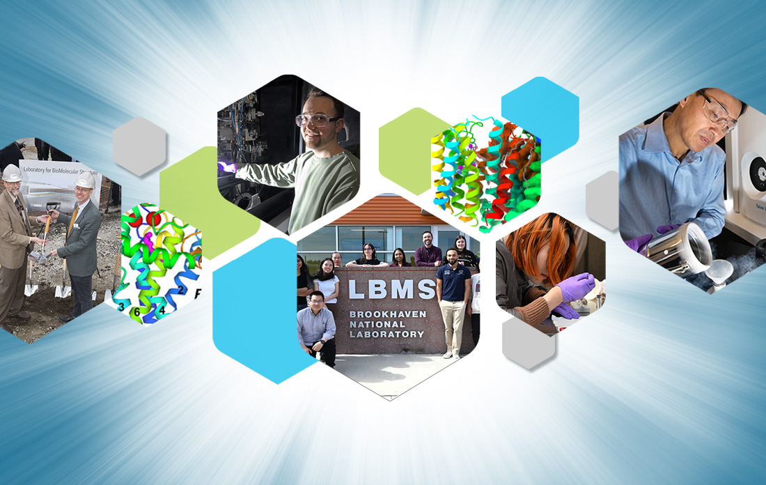 LBMS images
