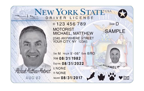 photo of a New York State driver's license